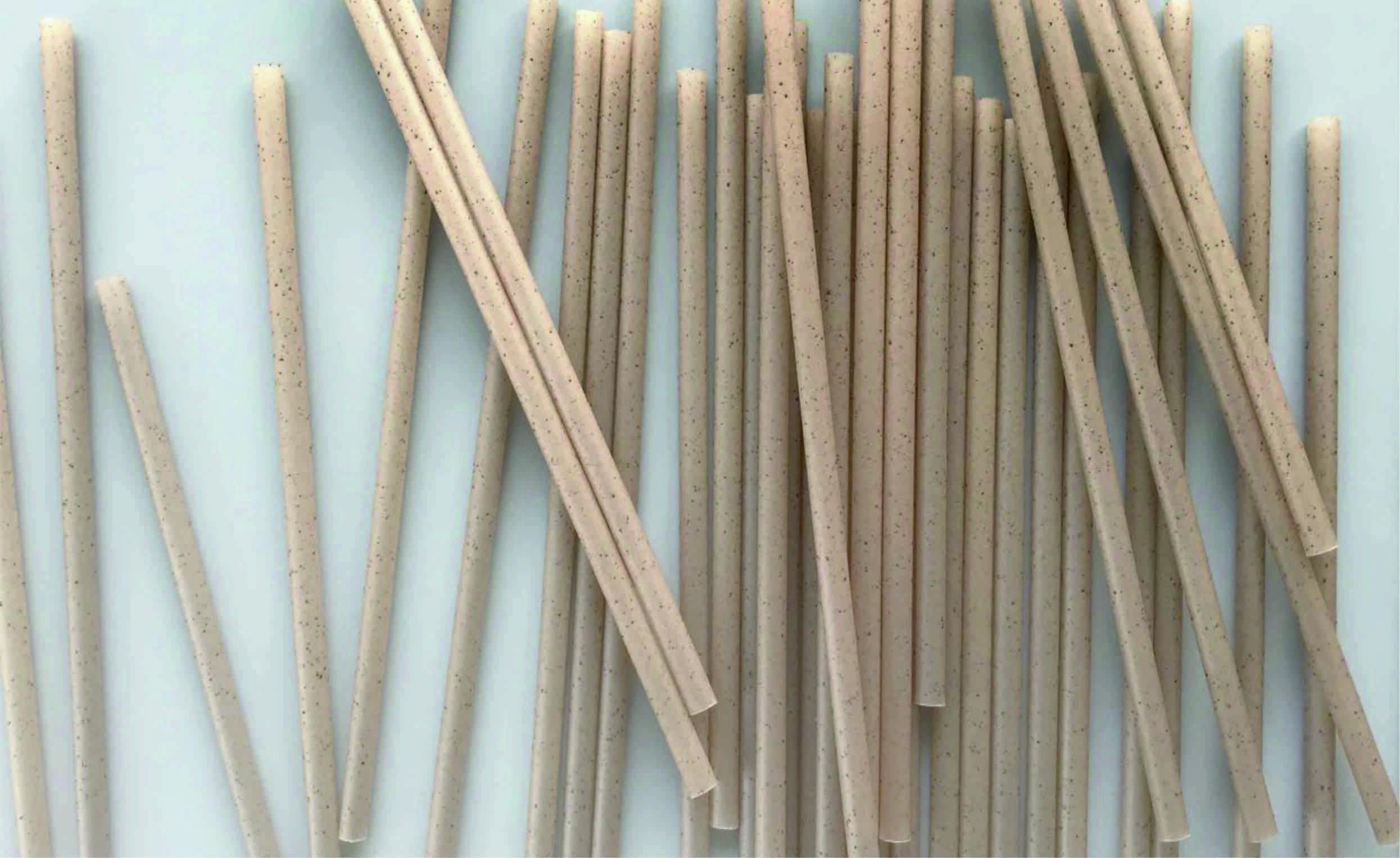 Cocktailhalme aus Agave 15cm lang - 0.6 cm Durchmesser - braun - 100Stk